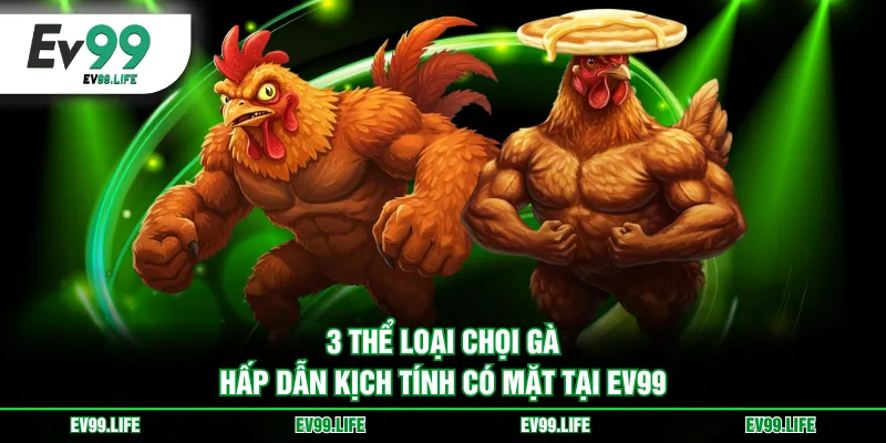 3 thể loại chọi gà hấp dẫn kịch tính có mặt tại EV99