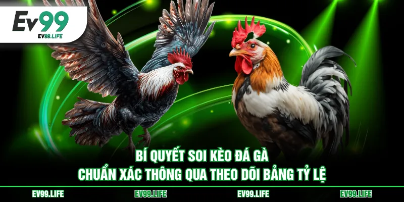 Bí quyết soi kèo đá gà chuẩn xác thông qua theo dõi bảng tỷ lệ