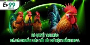 Bí quyết soi kèo đá gà chuẩn xác
