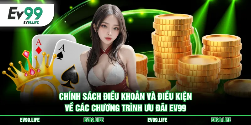 Chính sách điều khoản và điều kiện về các chương trình ưu đãi EV99
