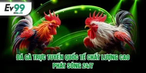 Đá gà trực tuyến quốc tế chất lượng cao