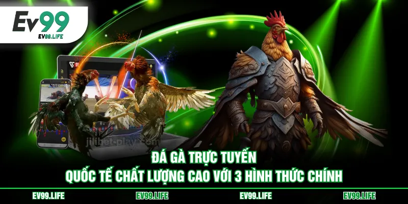 Đá gà trực tuyến quốc tế chất lượng cao với 3 hình thức chính