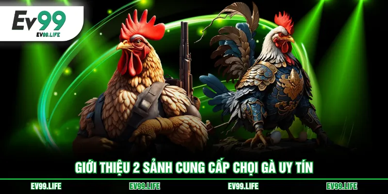 Giới thiệu 2 sảnh cung cấp chọi gà uy tín