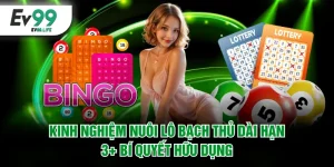 Kinh nghiệm nuôi lô bạch thủ dài hạn