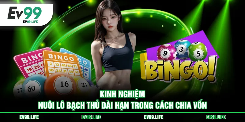 Kinh nghiệm nuôi lô bạch thủ dài hạn trong cách chia vốn