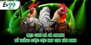 Mẹo chơi đá gà online dễ thắng cược