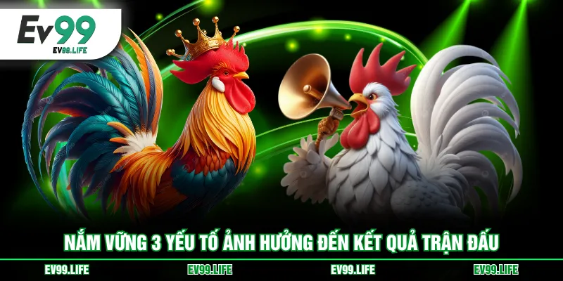 Nắm vững 3 yếu tố ảnh hưởng đến kết quả trận đấu
