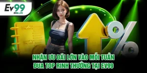nhận ưu đãi lớn vào mỗi tuần