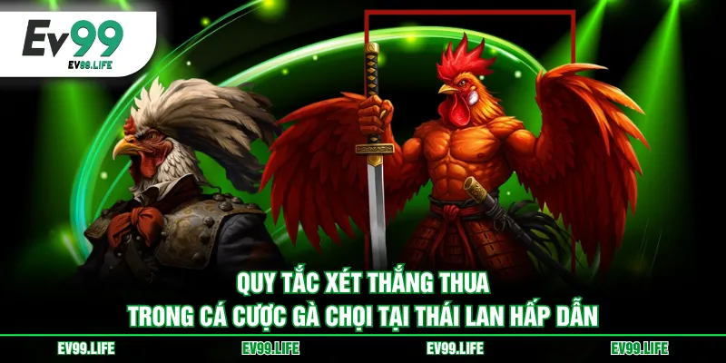 Quy tắc xét thắng thua trong cá cược gà chọi tại Thái Lan hấp dẫn