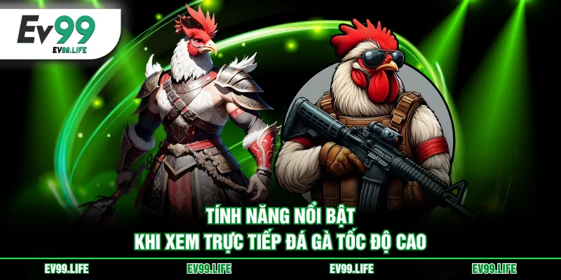 Tính năng nổi bật khi xem trực tiếp đá gà tốc độ cao