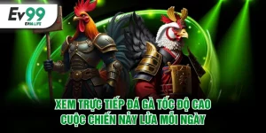 Xem trực tiếp đá gà tốc độ cao